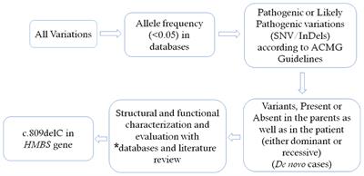 Whole Exome Sequencing Identified a Novel Heterozygous Mutation in HMBS Gene in a Chinese Patient With Acute Intermittent Porphyria With Rare Type of Mild Anemia